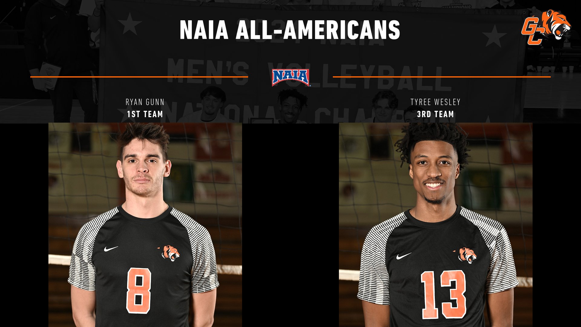 3 Men's Volleyball Tigers earn AVCA Honors